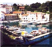 grovenska3.jpg (11102 bytes)