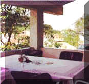 grovenska5.jpg (8641 bytes)