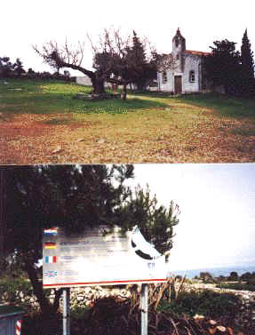 loznati1.jpg (29321 bytes)