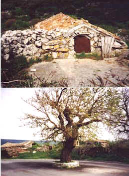 lubenice1.jpg (30372 bytes)