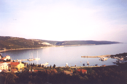 wpe25256.gif (53251 bytes)