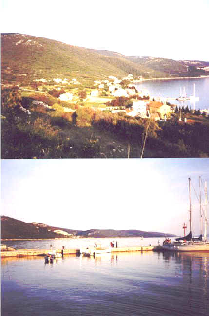 martinscica1.jpg (49058 bytes)