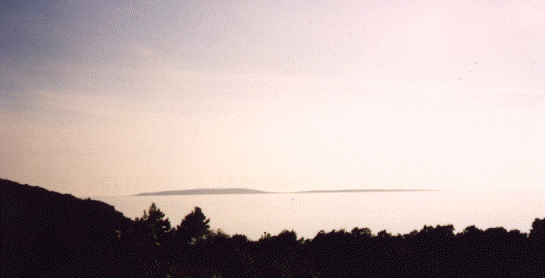 wpe36617.gif (60121 bytes)