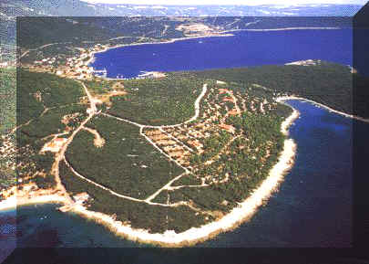 zeca2.jpg (33341 bytes)