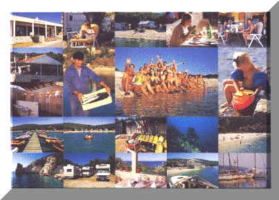 zeca3.jpg (37783 bytes)